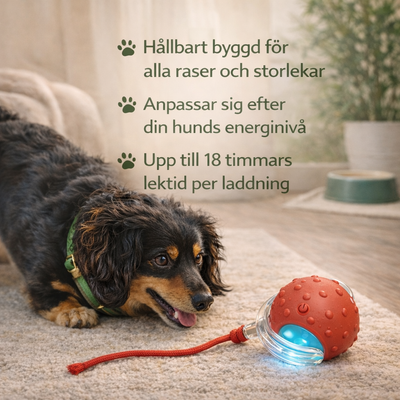 GlädjeBollen – för en gladare, lugnare och mer nöjd hund varje dag