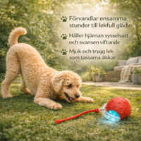 GlädjeBollen – för en gladare, lugnare och mer nöjd hund varje dag