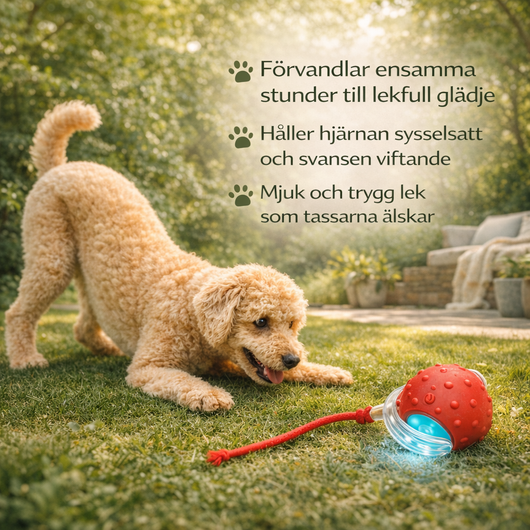 GlädjeBollen – för en gladare, lugnare och mer nöjd hund varje dag
