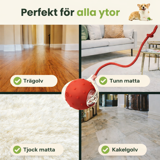 GlädjeBollen – för en gladare, lugnare och mer nöjd hund varje dag